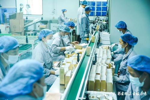 老滇凰云極工廠 以信息技術(shù)咨詢服務(wù)為引擎，驅(qū)動(dòng)云南蜂業(yè)現(xiàn)代化轉(zhuǎn)型